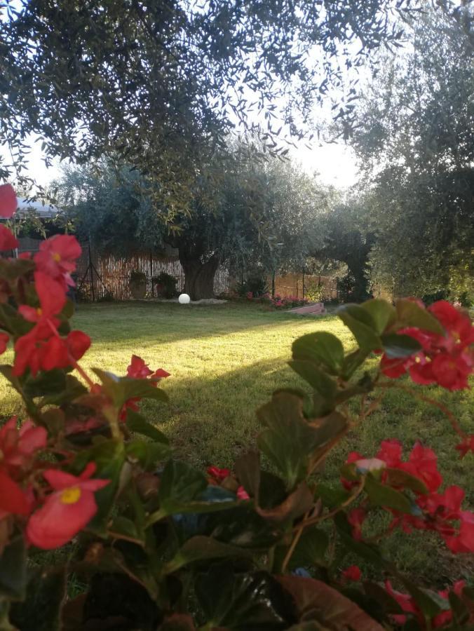 Lory Bed & Breakfast Elice ภายนอก รูปภาพ